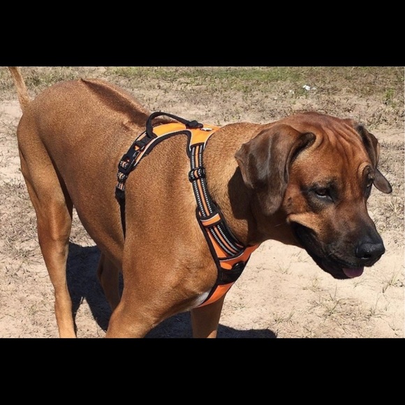 TRUE LOVE Adjustable No-Pull Dog Harness Reflective 3M Polyester Size Medium - Picture 3 of 8